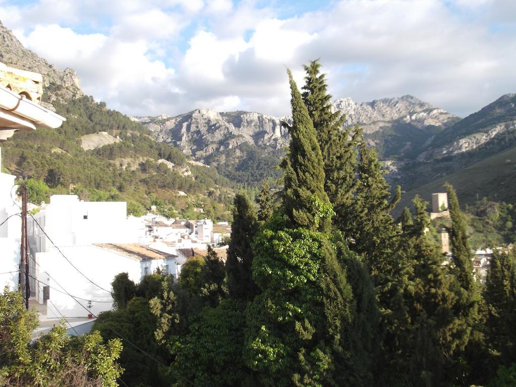 Apartment Madrigal Cazorla